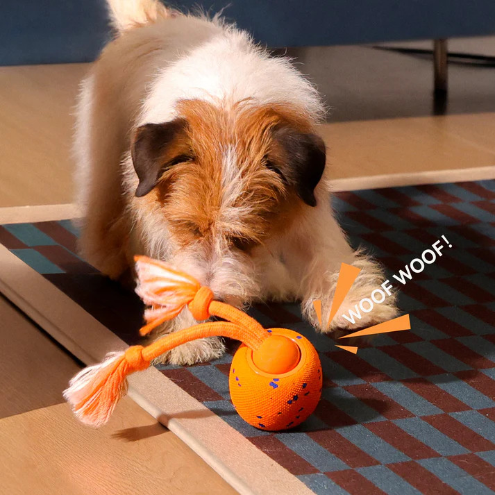 🔥2026 New Release - 50% OFF - RolloPaw™ Interactive Pet Toy Ball: Automatic Self-Moving Dog Toy for Boredom & Mental Stimulation 🐾 Quiet & Gentle on Teeth ✨
