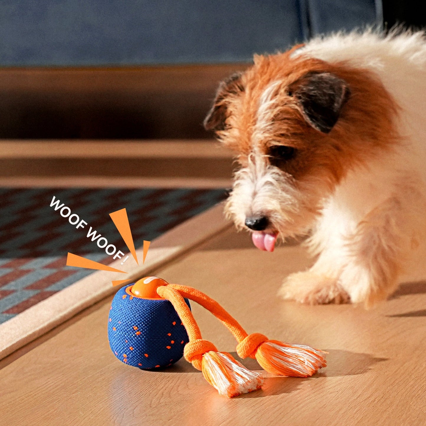 🔥2026 New Release - 50% OFF - RolloPaw™ Interactive Pet Toy Ball: Automatic Self-Moving Dog Toy for Boredom & Mental Stimulation 🐾 Quiet & Gentle on Teeth ✨